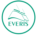 P#88 – Everis Service (SAAS)