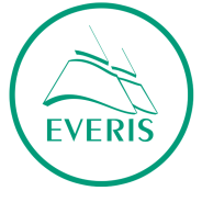 P#88 – Everis Service (SAAS)
