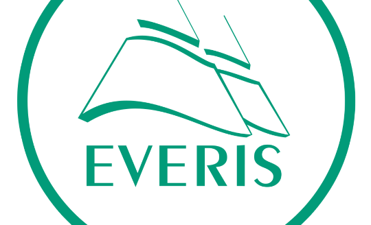 P#88 – Everis Service (SAAS)